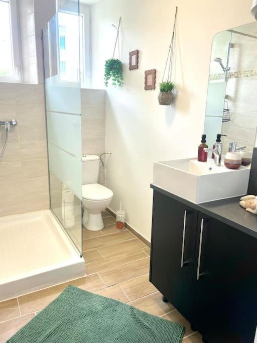 Logement Cosy Et Jardin Saint-Laurent-en-Royans Exteriör bild